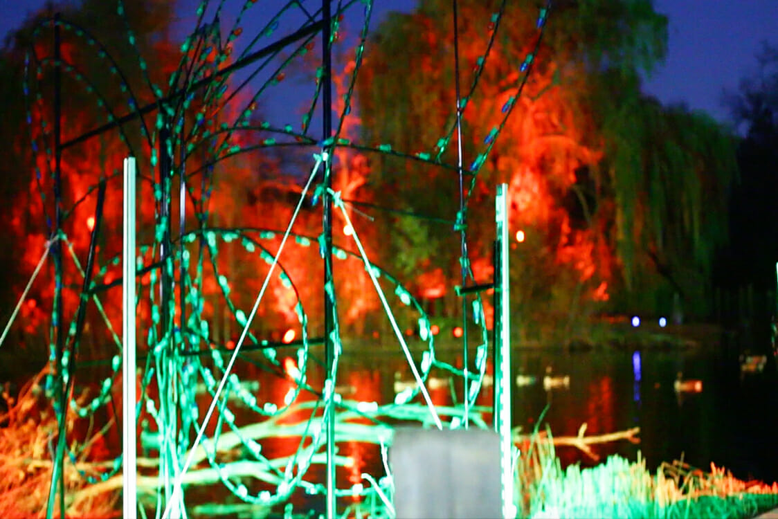 Making the Detroit Zoo Lights Truly Wild