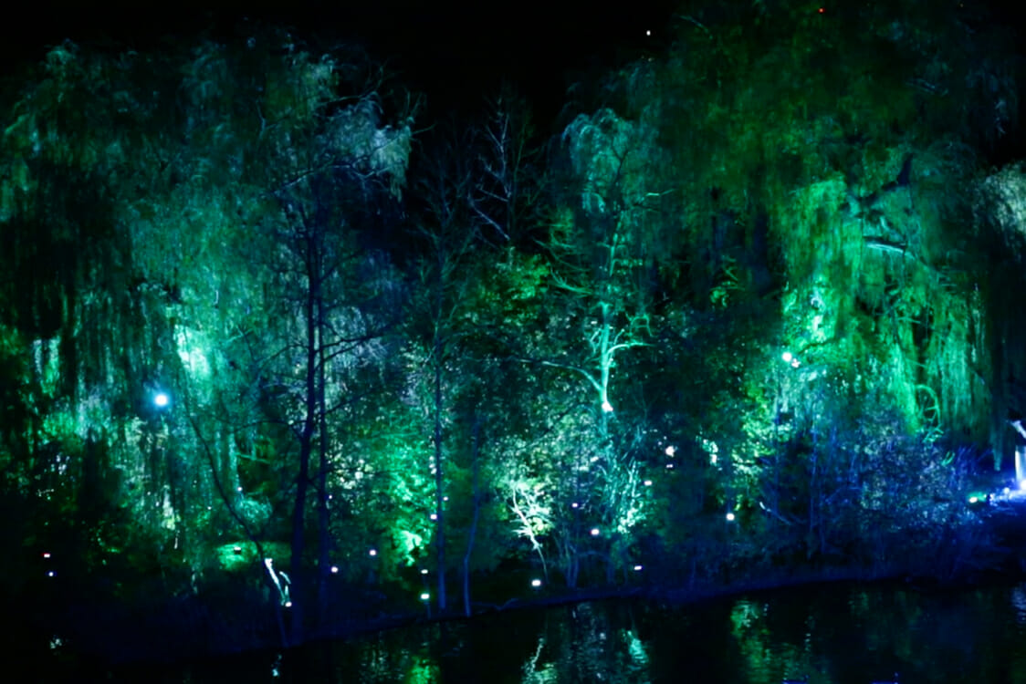 A Look Back at the Zoo Lights